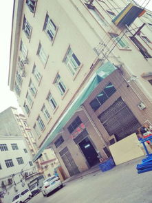 東莞天一針織毛衣加工廠 專業(yè)針織毛衣加工，滿足多樣化服裝需求